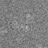 Ribosome image